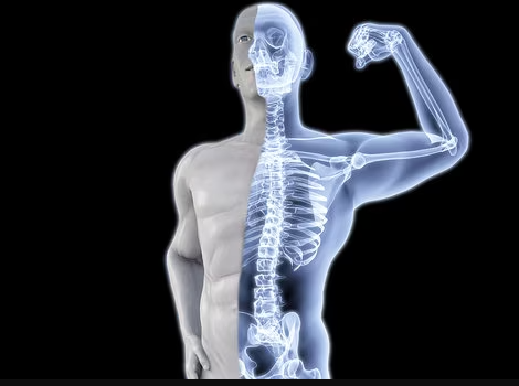 Strengthens Bones